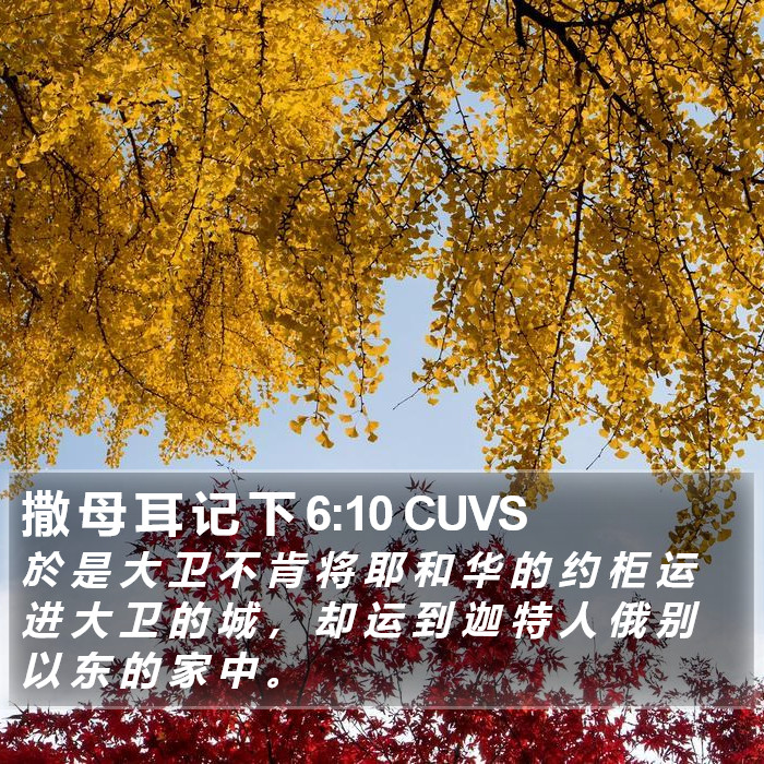 撒 母 耳 记 下 6:10 CUVS Bible Study