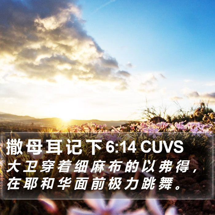 撒 母 耳 记 下 6:14 CUVS Bible Study