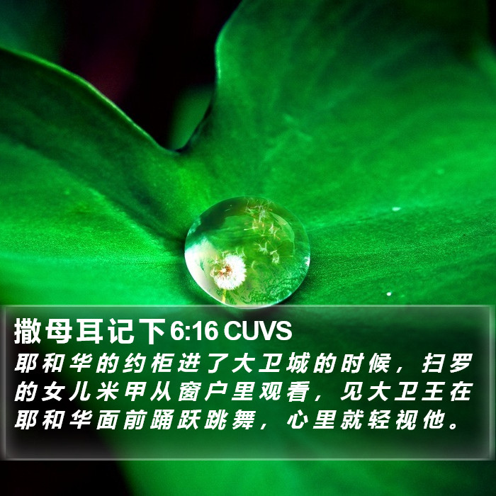 撒 母 耳 记 下 6:16 CUVS Bible Study