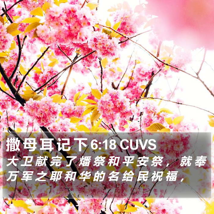 撒 母 耳 记 下 6:18 CUVS Bible Study