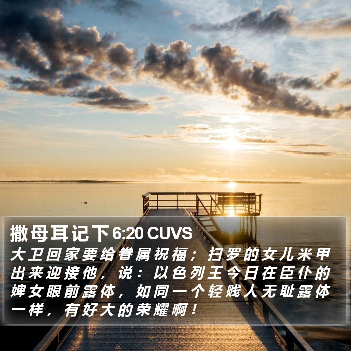 撒 母 耳 记 下 6:20 CUVS Bible Study