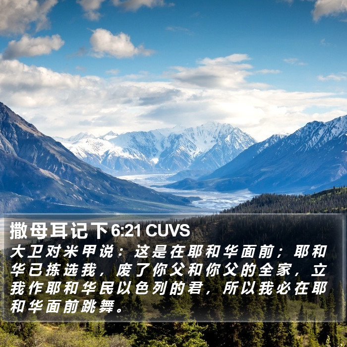 撒 母 耳 记 下 6:21 CUVS Bible Study