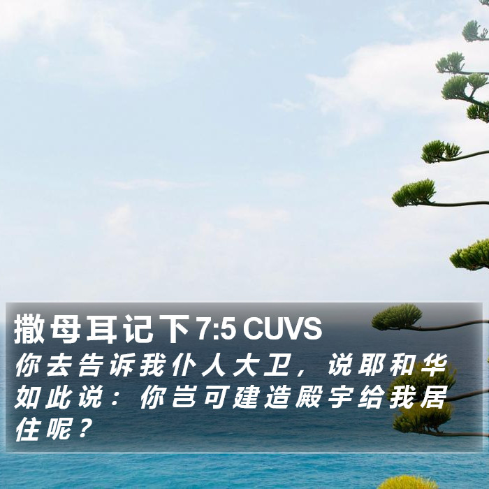 撒 母 耳 记 下 7:5 CUVS Bible Study