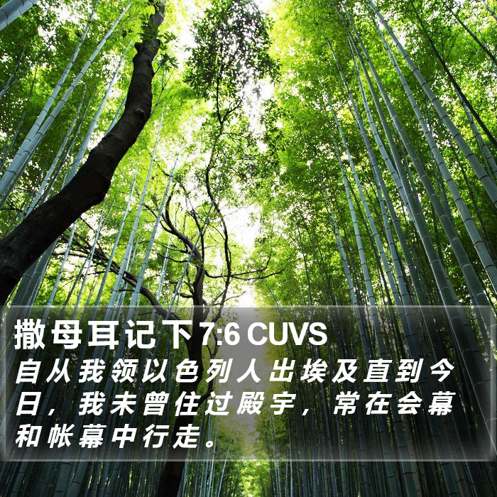撒 母 耳 记 下 7:6 CUVS Bible Study
