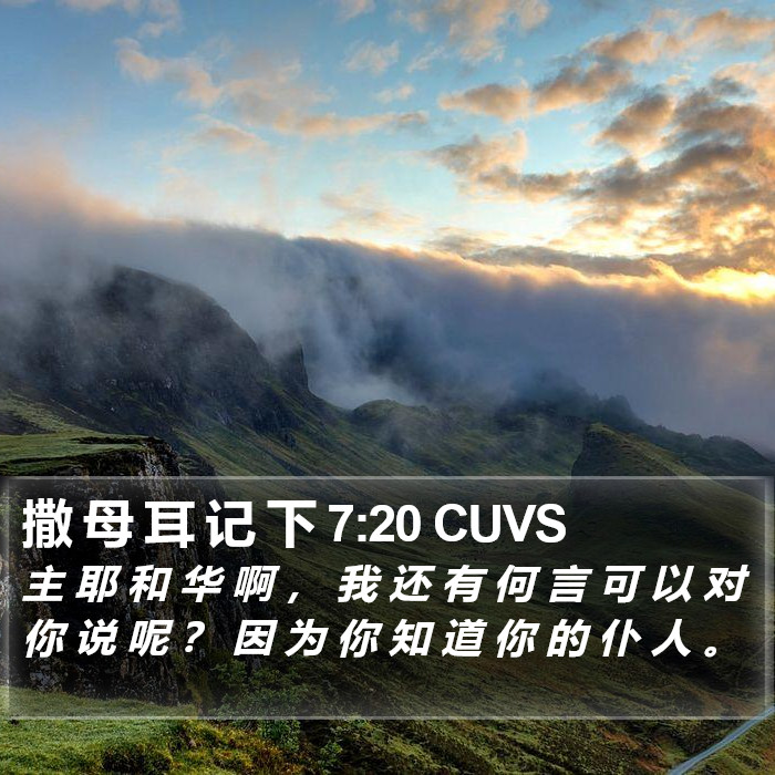 撒 母 耳 记 下 7:20 CUVS Bible Study