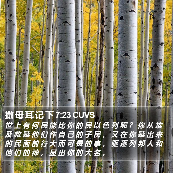 撒 母 耳 记 下 7:23 CUVS Bible Study