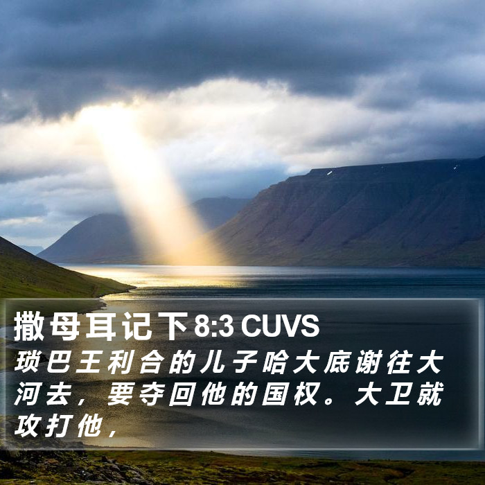 撒 母 耳 记 下 8:3 CUVS Bible Study