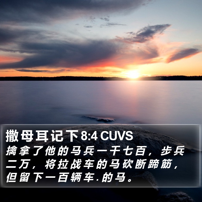 撒 母 耳 记 下 8:4 CUVS Bible Study