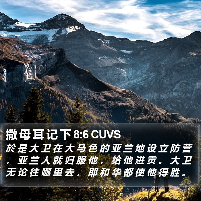 撒 母 耳 记 下 8:6 CUVS Bible Study