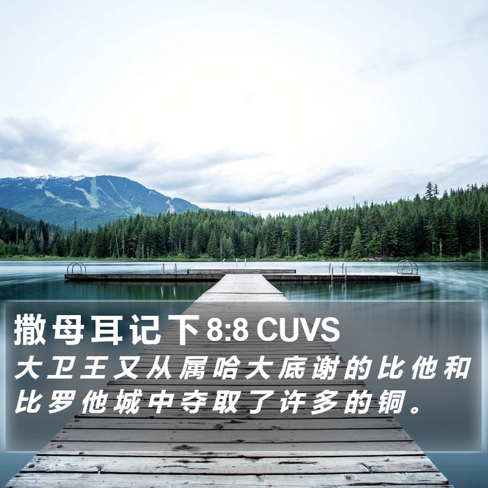 撒 母 耳 记 下 8:8 CUVS Bible Study