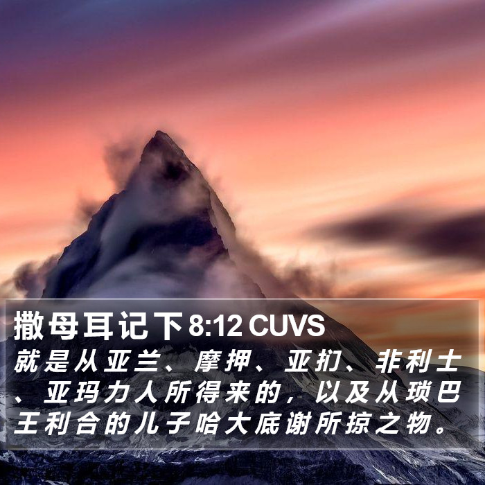 撒 母 耳 记 下 8:12 CUVS Bible Study