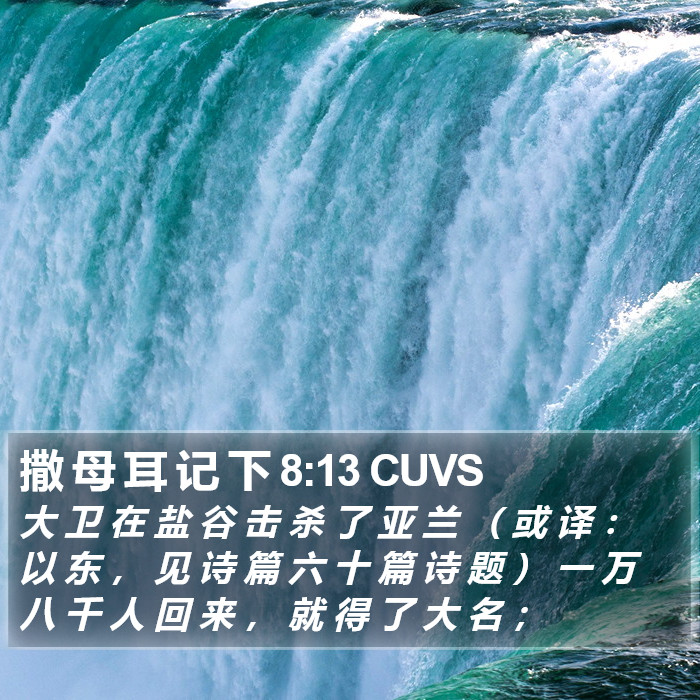 撒 母 耳 记 下 8:13 CUVS Bible Study