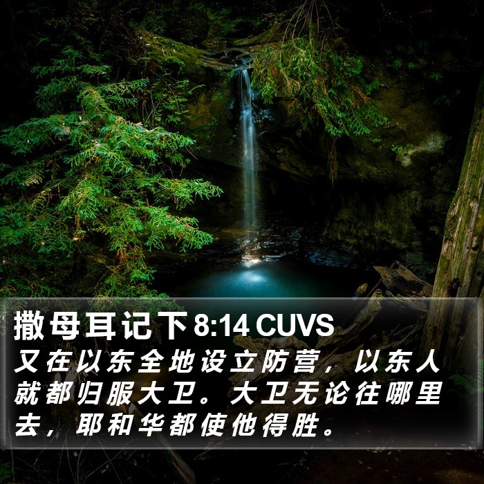 撒 母 耳 记 下 8:14 CUVS Bible Study