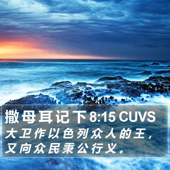 撒 母 耳 记 下 8:15 CUVS Bible Study