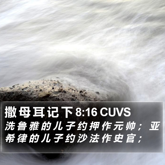 撒 母 耳 记 下 8:16 CUVS Bible Study