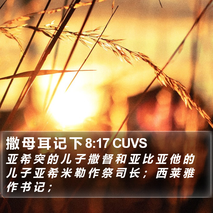 撒 母 耳 记 下 8:17 CUVS Bible Study