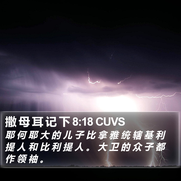 撒 母 耳 记 下 8:18 CUVS Bible Study