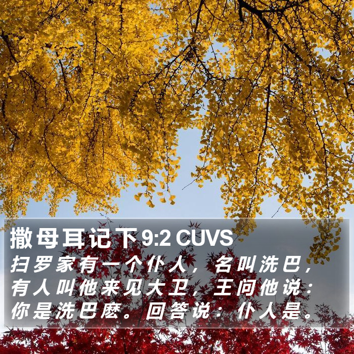撒 母 耳 记 下 9:2 CUVS Bible Study
