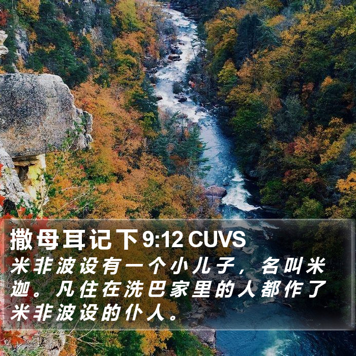 撒 母 耳 记 下 9:12 CUVS Bible Study