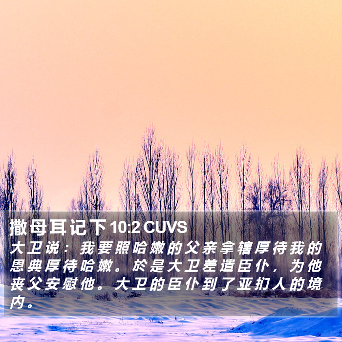 撒 母 耳 记 下 10:2 CUVS Bible Study