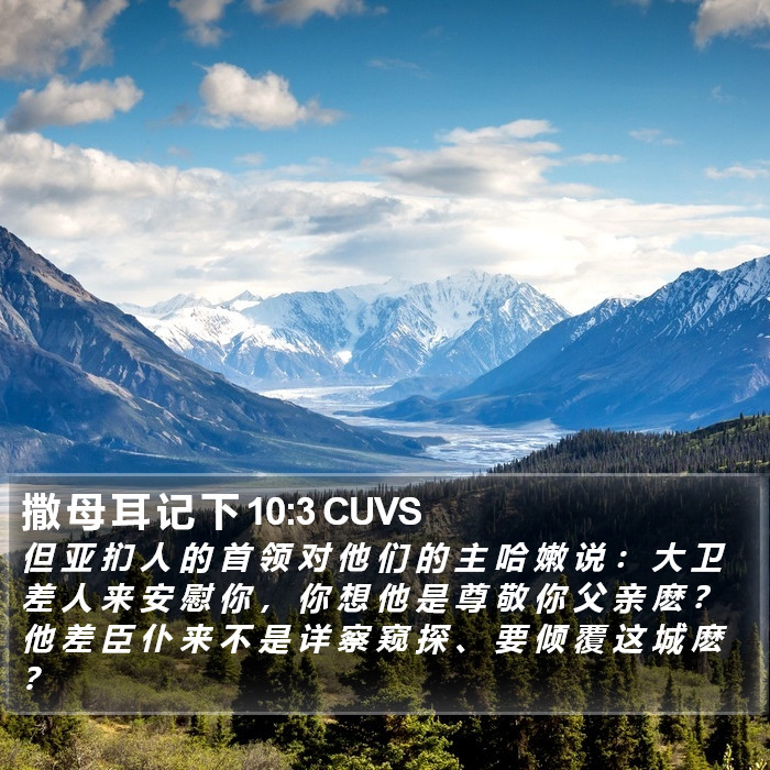 撒 母 耳 记 下 10:3 CUVS Bible Study