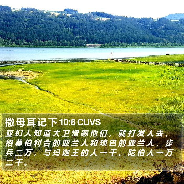 撒 母 耳 记 下 10:6 CUVS Bible Study