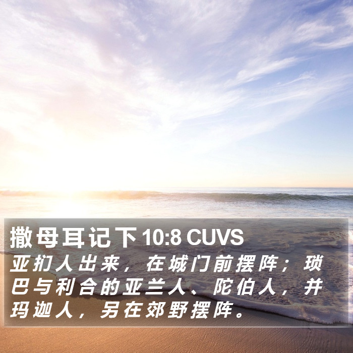 撒 母 耳 记 下 10:8 CUVS Bible Study