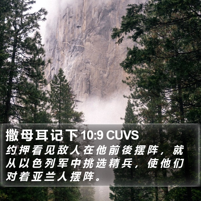 撒 母 耳 记 下 10:9 CUVS Bible Study