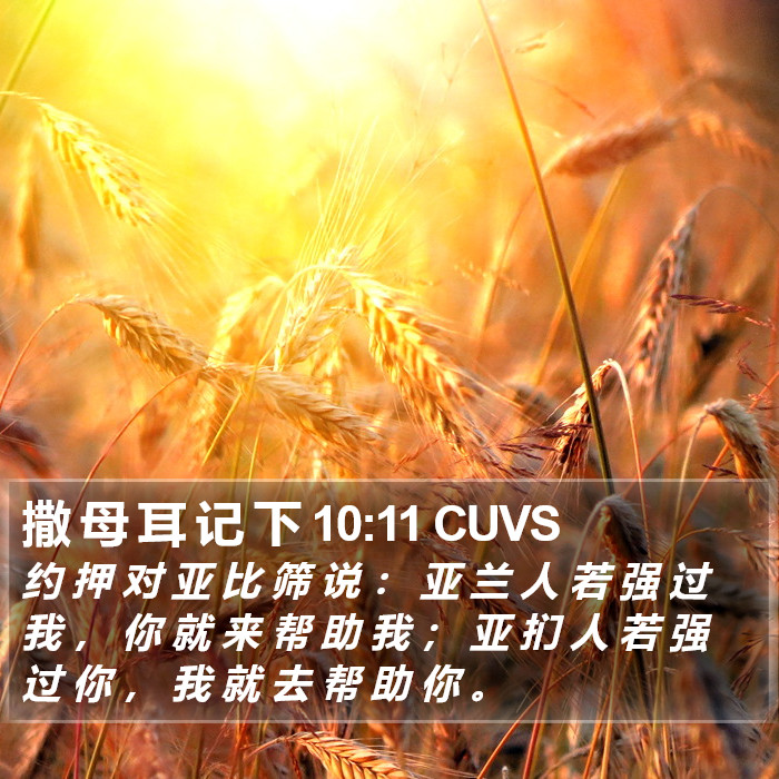 撒 母 耳 记 下 10:11 CUVS Bible Study
