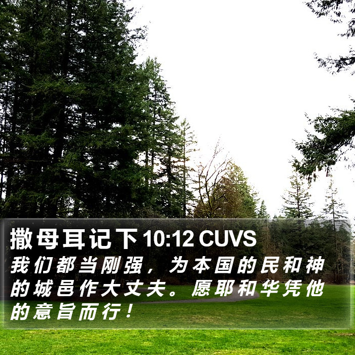 撒 母 耳 记 下 10:12 CUVS Bible Study