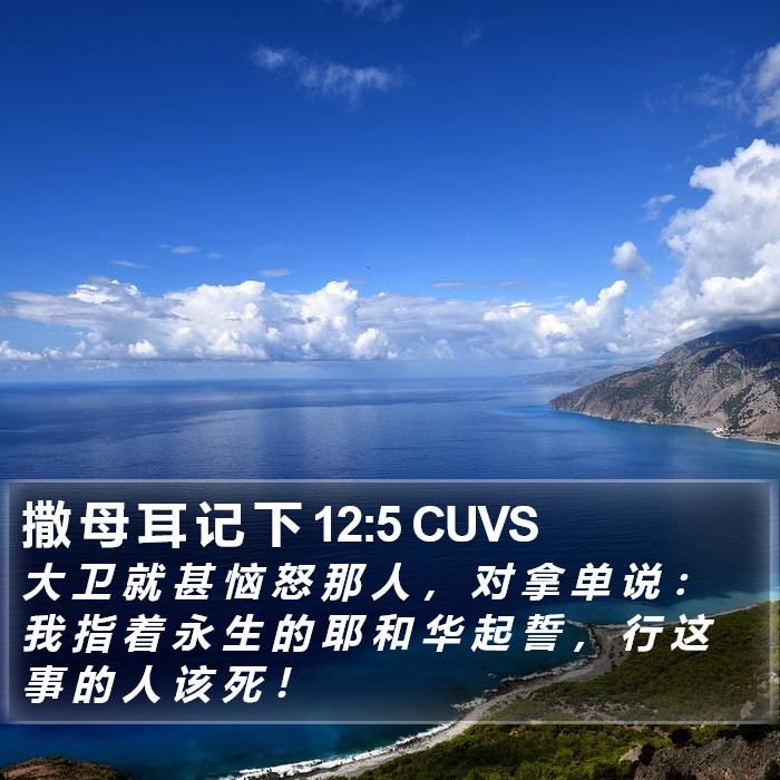 撒 母 耳 记 下 12:5 CUVS Bible Study