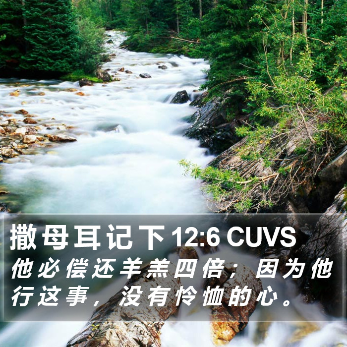 撒 母 耳 记 下 12:6 CUVS Bible Study