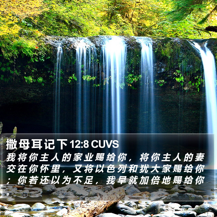 撒 母 耳 记 下 12:8 CUVS Bible Study