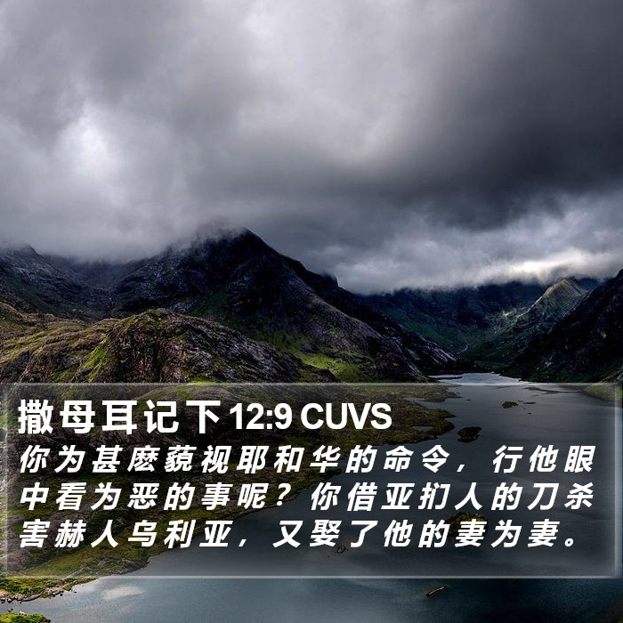撒 母 耳 记 下 12:9 CUVS Bible Study