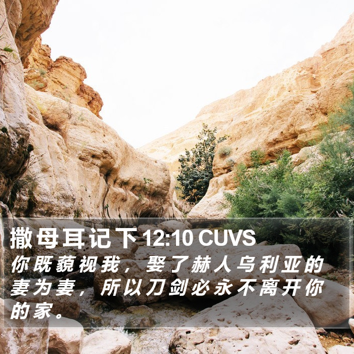 撒 母 耳 记 下 12:10 CUVS Bible Study