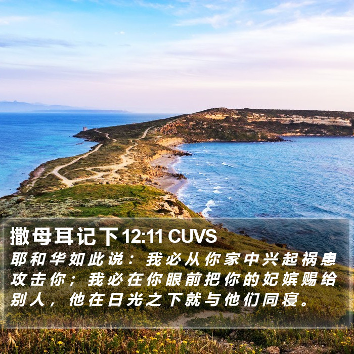 撒 母 耳 记 下 12:11 CUVS Bible Study