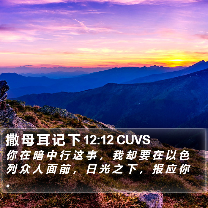 撒 母 耳 记 下 12:12 CUVS Bible Study