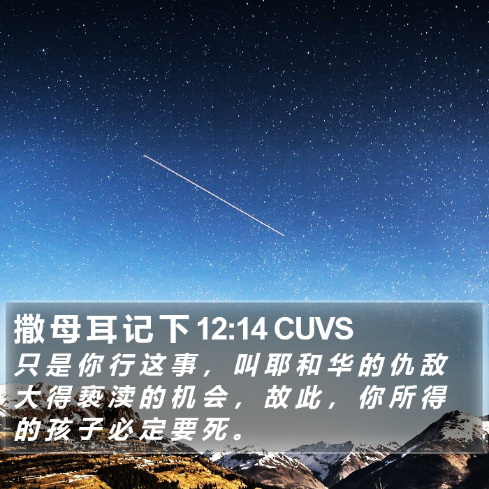 撒 母 耳 记 下 12:14 CUVS Bible Study