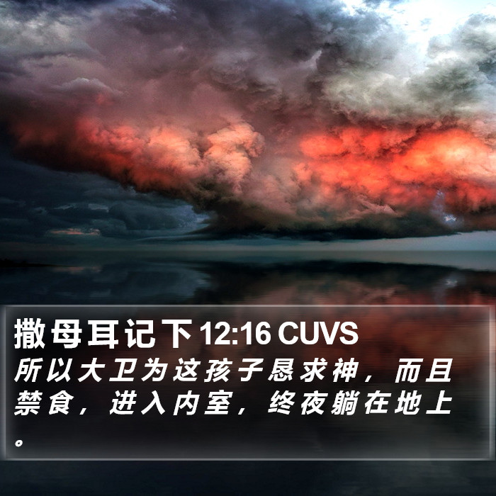 撒 母 耳 记 下 12:16 CUVS Bible Study