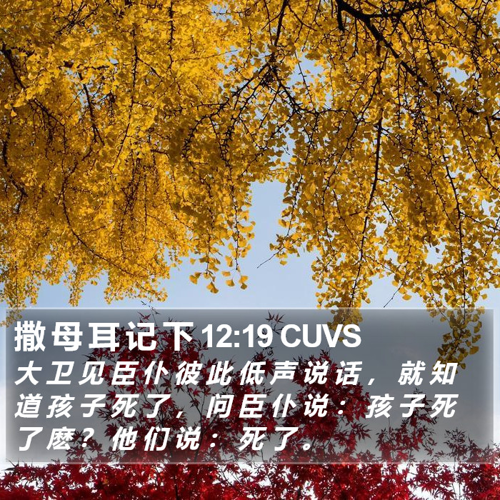 撒 母 耳 记 下 12:19 CUVS Bible Study