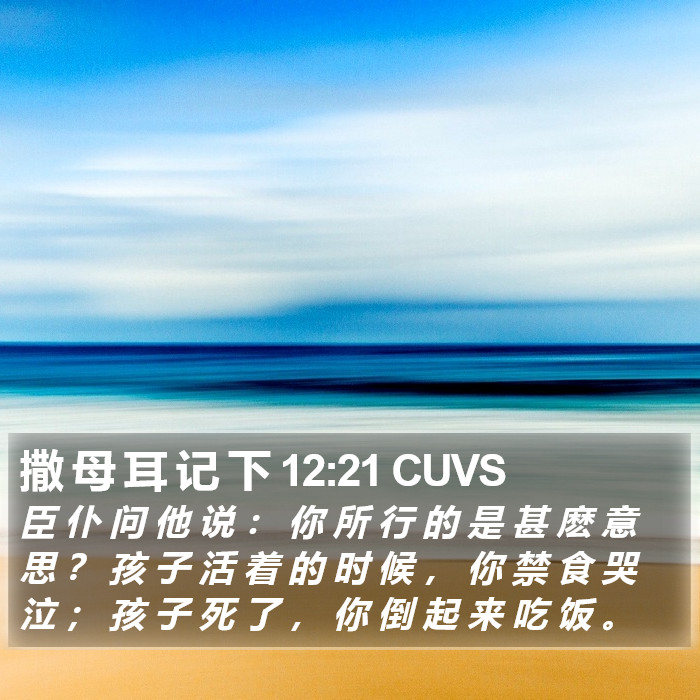 撒 母 耳 记 下 12:21 CUVS Bible Study