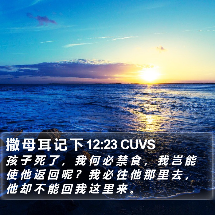撒 母 耳 记 下 12:23 CUVS Bible Study