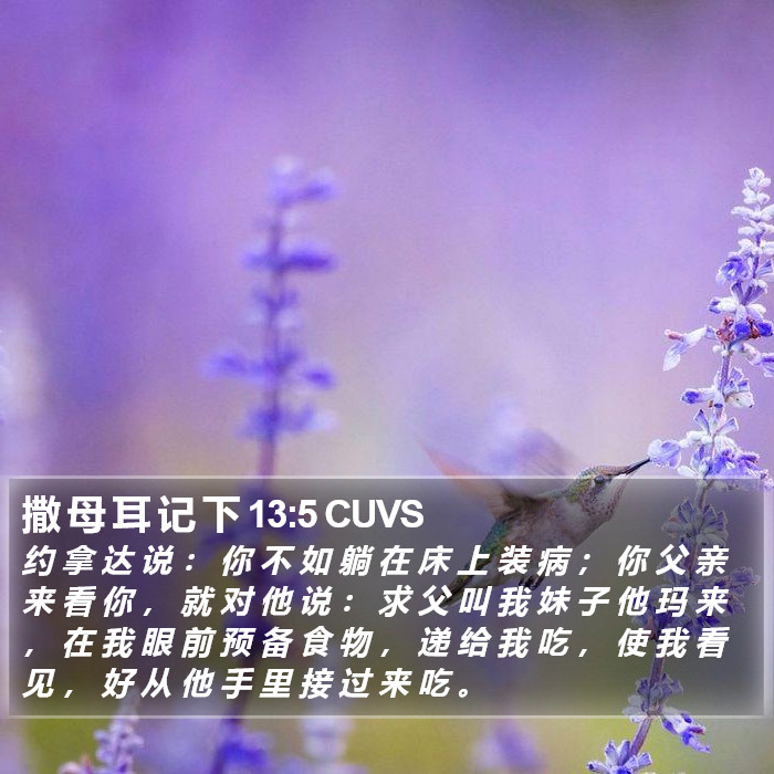 撒 母 耳 记 下 13:5 CUVS Bible Study