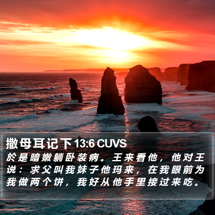 撒 母 耳 记 下 13:6 CUVS Bible Study