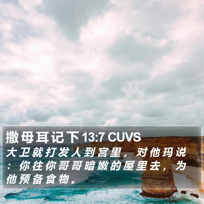 撒 母 耳 记 下 13:7 CUVS Bible Study