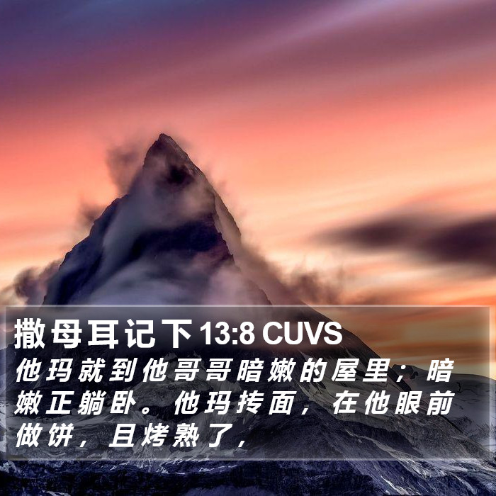 撒 母 耳 记 下 13:8 CUVS Bible Study