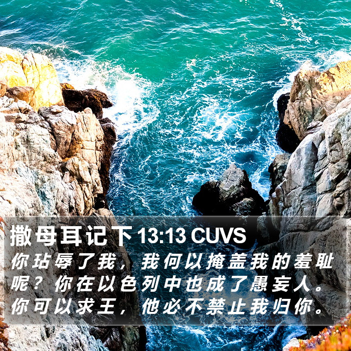 撒 母 耳 记 下 13:13 CUVS Bible Study