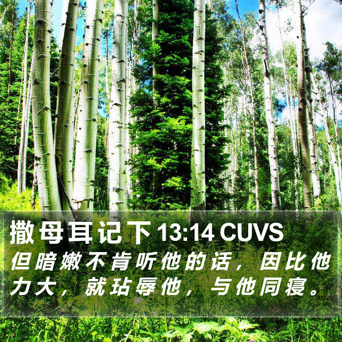 撒 母 耳 记 下 13:14 CUVS Bible Study