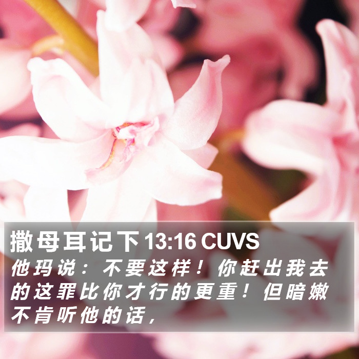 撒 母 耳 记 下 13:16 CUVS Bible Study