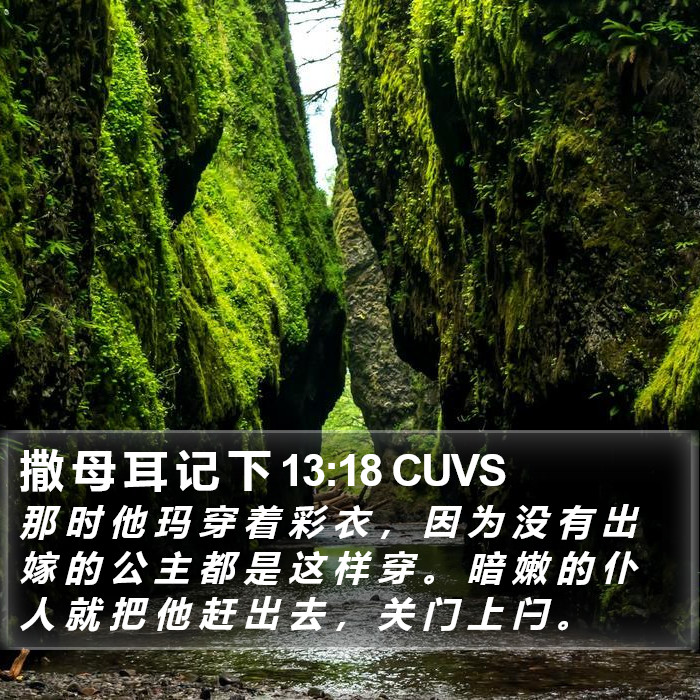 撒 母 耳 记 下 13:18 CUVS Bible Study